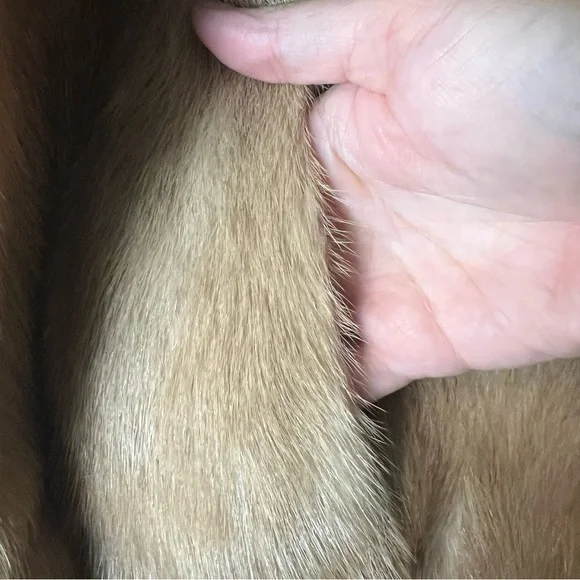 Harris’ – Women’s Vintage Real‎ Mink Fur Coat 60s Golden Brown – Sz. M/L - Picture 5 of 7